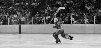 The Quebec Nordiques are just one of the extinct Canadian hockey teams
