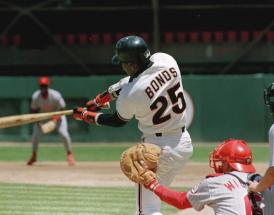 Most home runs in MLB history