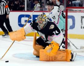 NHL All Star Game
