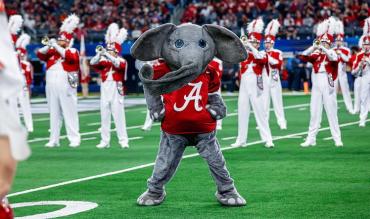 What is the average salary for a college football mascot